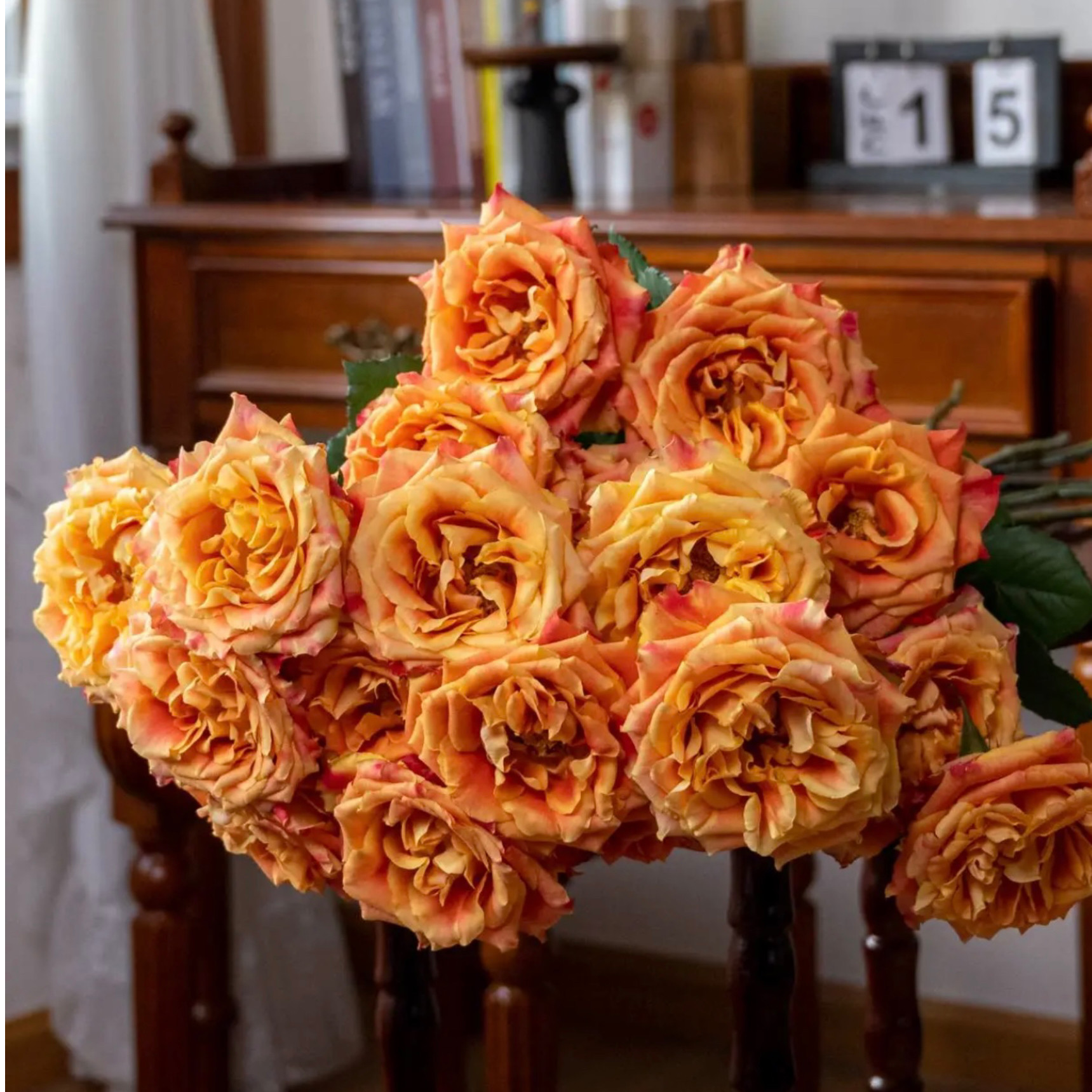 【云花甄选】欢乐颂玫瑰单头鲜花a级云南直发家庭水养情人节礼物