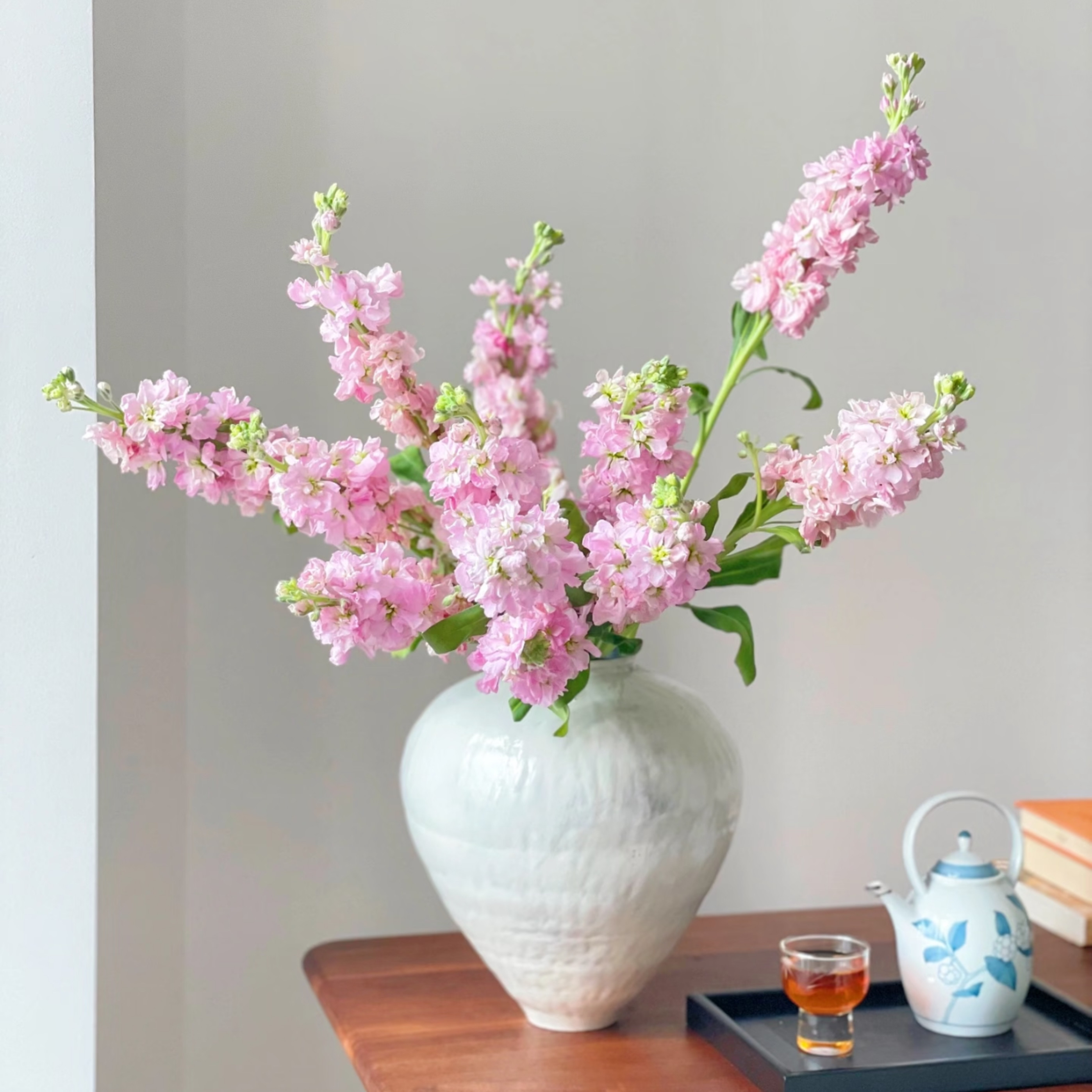 粉色紫罗兰鲜切花真的鲜花淡粉色小清新插花搭配水养