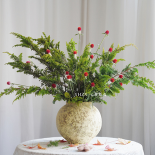 【云花甄选】圣诞节插花金丝凤尾红色单头千日红真的鲜花水养瓶插