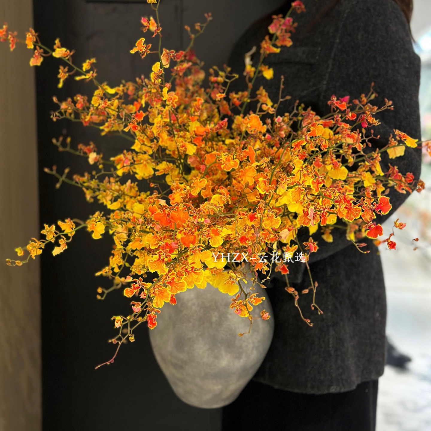 【云花甄选】多芬橙色跳舞兰真的鲜切花橙心如意多芬品质优秀橘色,鲜花速递/花卉仿真/绿植园艺,花材,淘宝优惠券,粉丝福利购,淘宝优惠卷