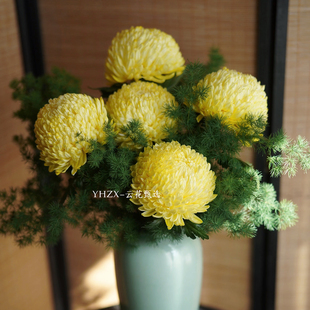 【云花甄选】真的鲜花大花朵金黄色牡丹菊图片实拍水养瓶插花空运