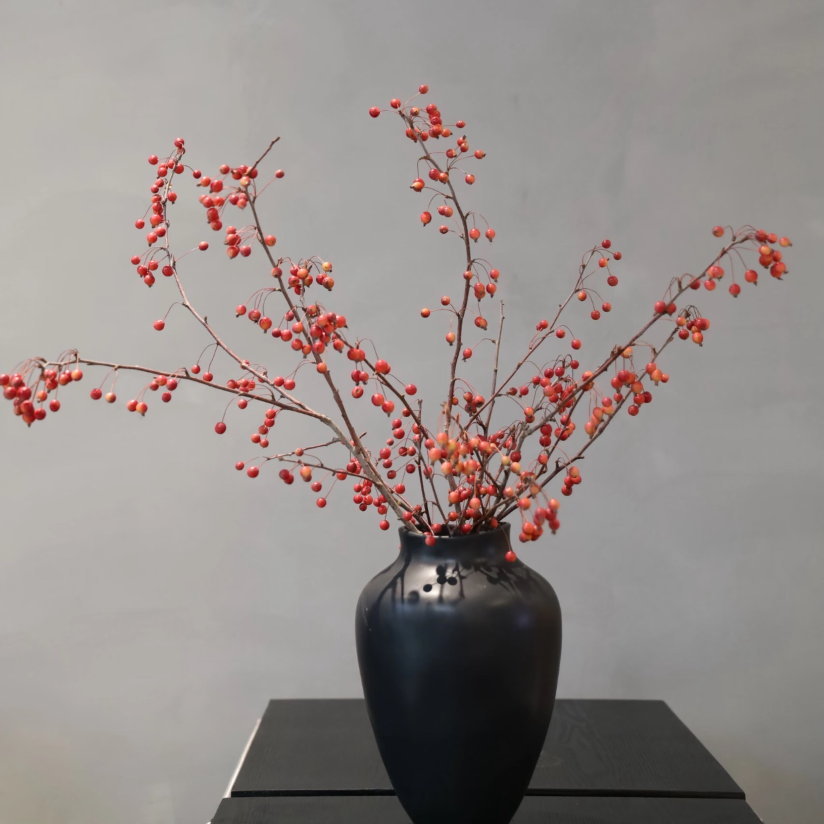 【云花甄选】红色海棠果鲜切枝真的花果实类花材造型王者非常灵动