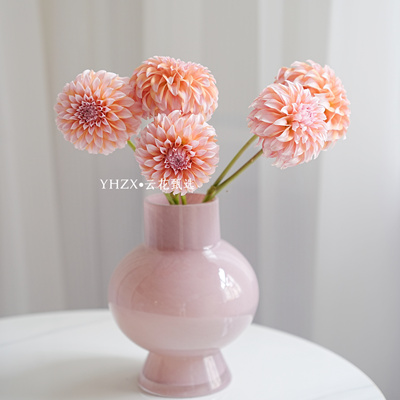 【云花甄选】奶油桃子大丽花鲜切花无香味层次丰富花材天花板云南