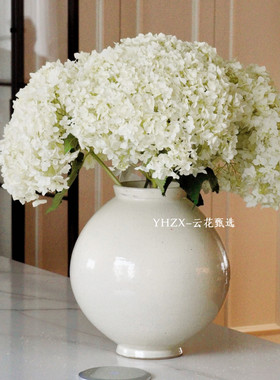 【云花甄选】白色安娜绣球可做干花真的鲜花瓶插花观赏性花材空运