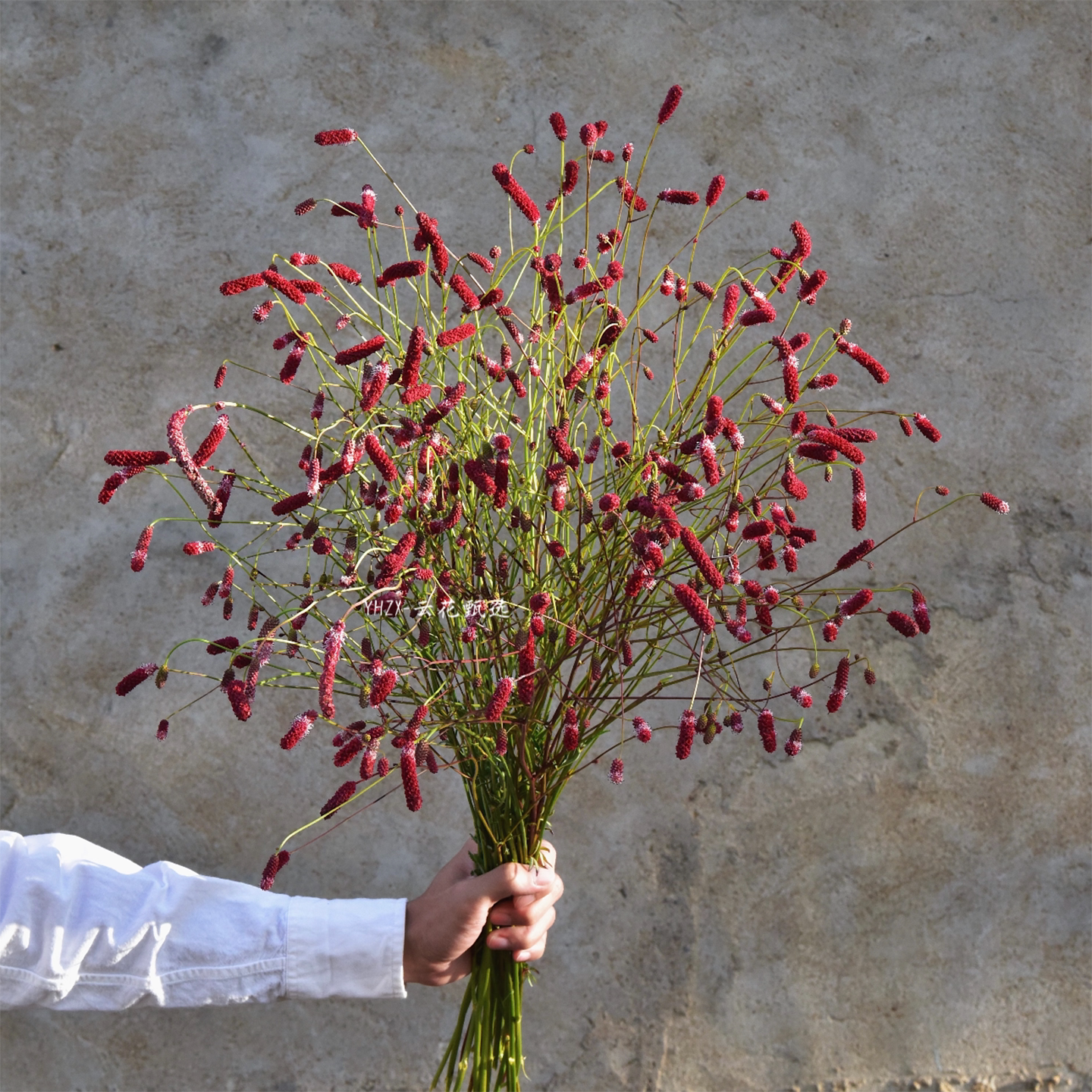【云花甄选】地榆复古色花材桑葚琥珀小众节日礼物室内装饰空运发