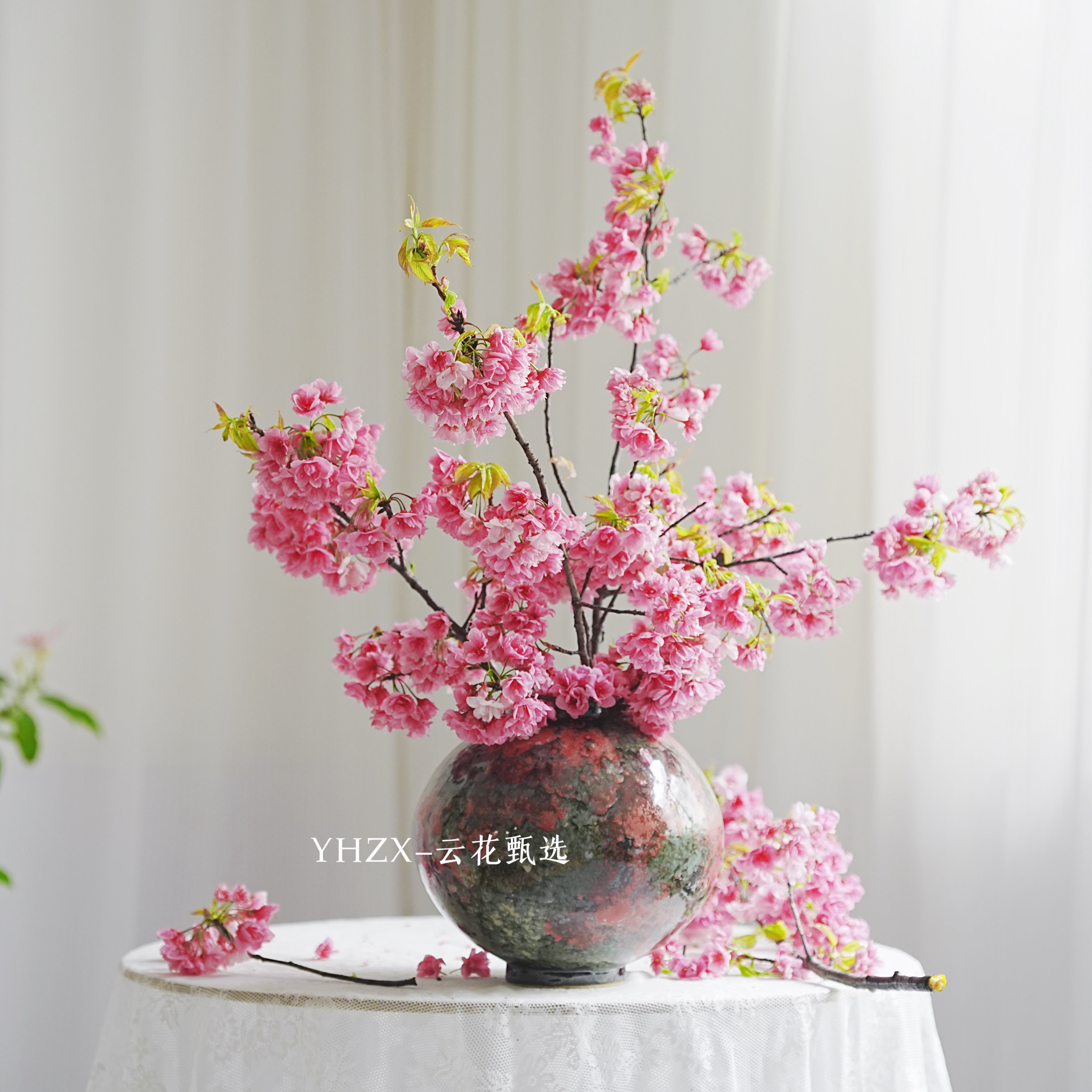 【云花甄选】粉色樱花重瓣真的鲜花白棠梨花花苞多春天特有花材图片
