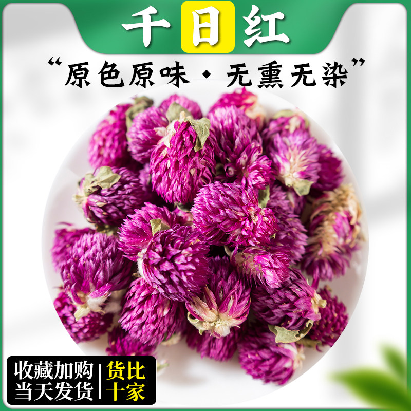 正品千日红中药材500g克新货