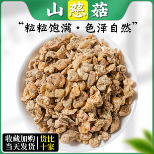 山慈菇中药材正品山慈茹茅山慈菇山茨姑云南山慈菇无硫100g