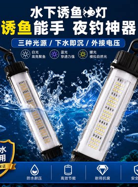 大功率12V水下诱鱼灯LED夜钓集鱼灯鱿鱼灯引鱼灯船用冰钓鱼灯