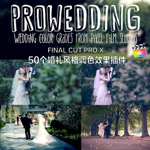 fcpx效果插件 final cut pro X 54个婚礼风格调色预设