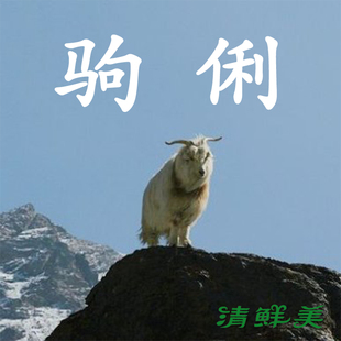 【清鲜美】新疆天山小山羊肉 雪山冰渣驹俐羊 半只七斤 顺丰包邮