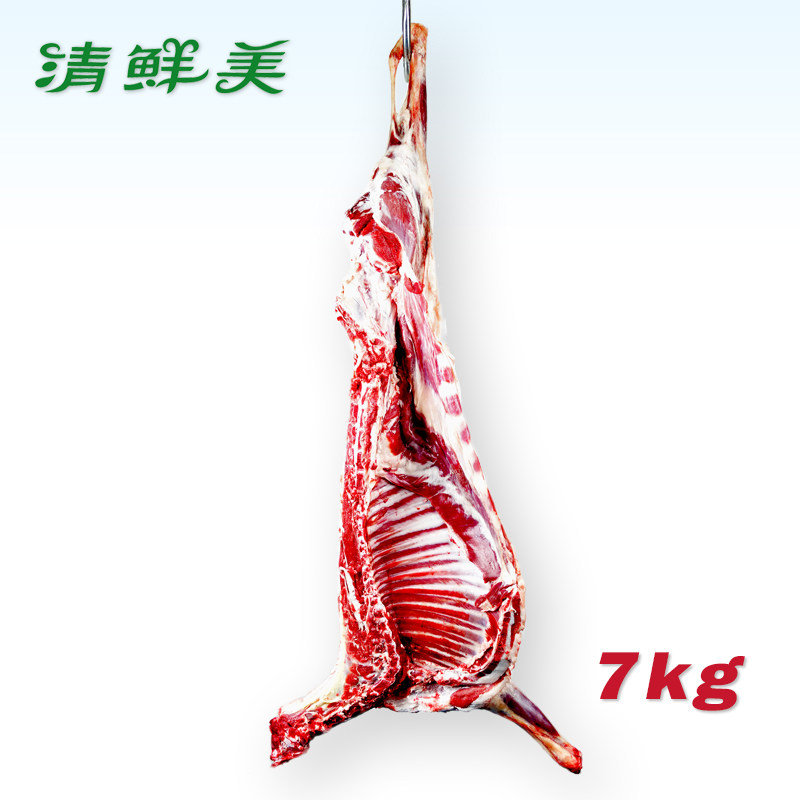 新疆羊肉草原放牧 新疆大尾巴羔羊肉 新鲜小羊羔肉半只 顺丰包邮
