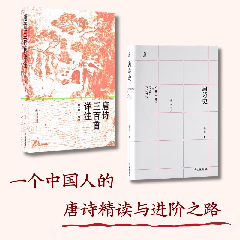唐诗史+唐诗三百首详注 数代读者共同选择的唐诗入门指南无障碍阅读国学经典研究爱好者阅读诗风与诗学流变江西教育出版社