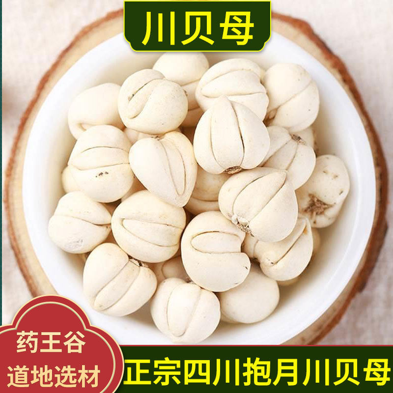 川贝母中药材正品四川阿坝特产平贝母怀中抱月贝母精选川贝母粉