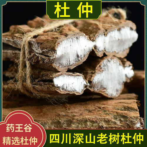 四川老树杜仲中药材野生正品
