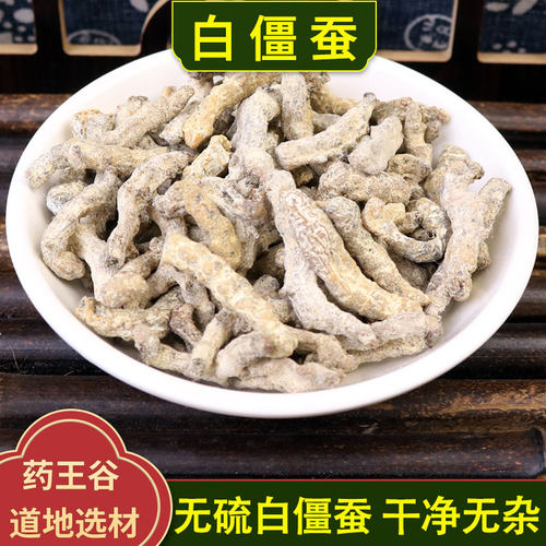 正宗四川白僵蚕正品倪海厦推荐