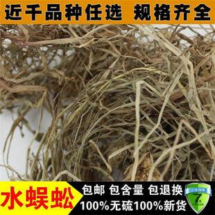 精选无硫水蜈蚣 水蜈蚣草 金钮草 寒气草 三荚草500克包邮