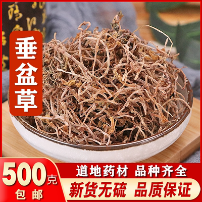 垂盆草铺正宗包邮药用食用