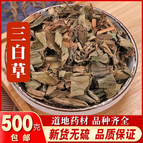 精选优质三白草 500克包邮 新货正品 白花莲新鲜