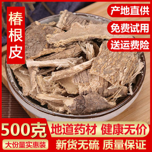 椿根皮臭椿树根皮 春根皮 正品500克包邮 椿白皮 香椿树皮