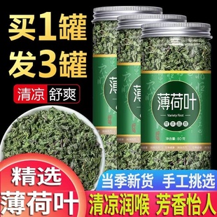 薄荷叶泡水新鲜薄荷茶干薄荷叶茶食用清凉可搭配胎菊柠檬片罐装