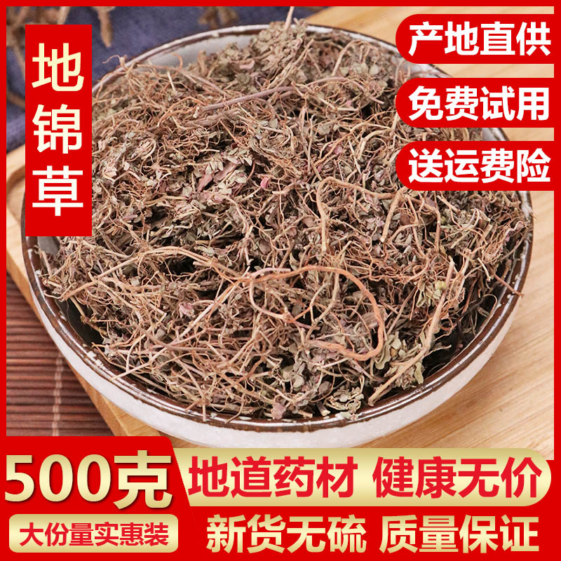 地锦草 小飞扬草 天然纯新货 铁线草 奶汁草 红莲草斑雀草