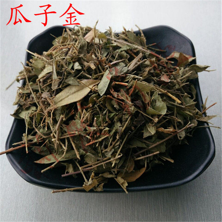 瓜子金 正品新货中草药 黄瓜仁草 瓜子草 来马回辰砂草500g