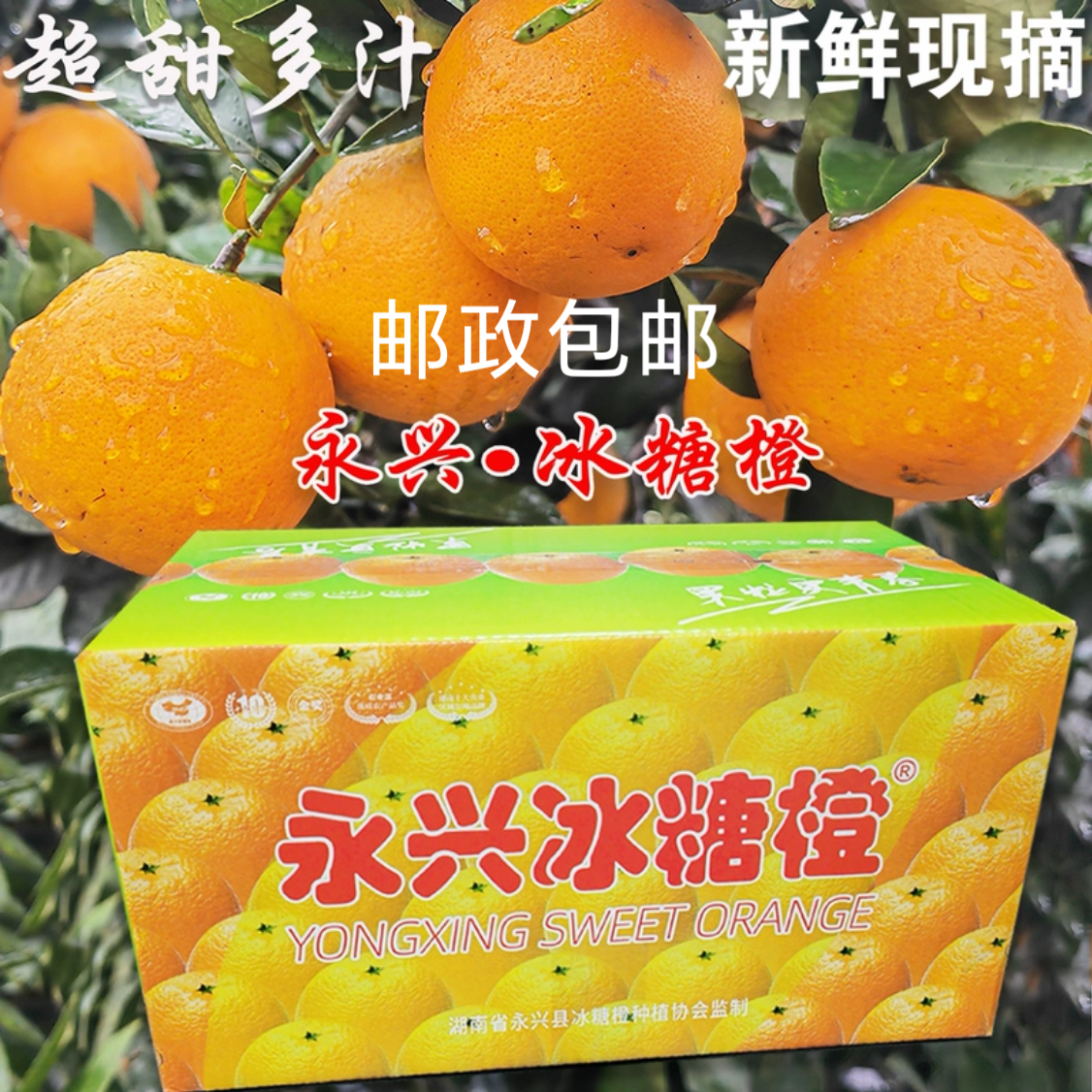 正宗纯甜湖南郴州真永兴冰糖橙子10斤18斤装现摘现发甜橙50-60mm