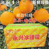 正宗纯甜湖南郴州真永兴冰糖橙子10斤18斤装 60mm 现摘现发甜橙50