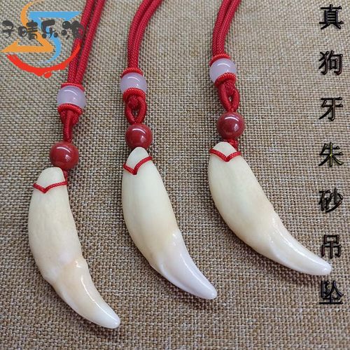 广西真牙情侣黑狗牙真品吊坠项链