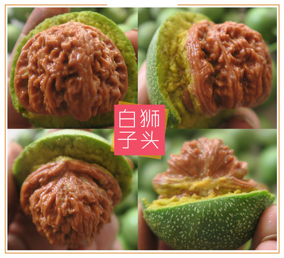 赌青皮四座楼把玩