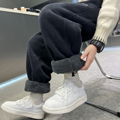 男童加绒裤子冬季羊羔绒运动裤2025新款儿童秋冬一条过冬棉裤加厚