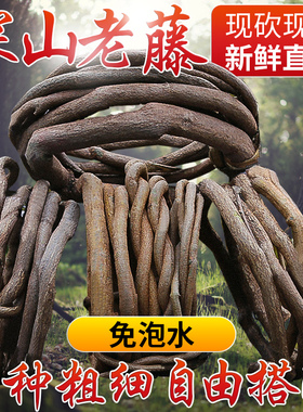 树藤枯藤藤条装饰藤蔓室内阳台管道仿真绿植葡萄叶树枝假植物壁挂