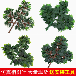仿真榕树枝塑料绿叶装 饰假树叶子人工室内园林工程绿化造景绿植