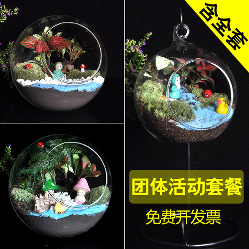 （团体搭配套餐）微景观生态玻璃瓶多肉苔藓DIY材料包件套餐活动 - 封面