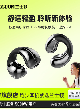 兰士顿TS22耳夹式耳机蓝牙2025新款官方正品无线气骨传导运动跑步