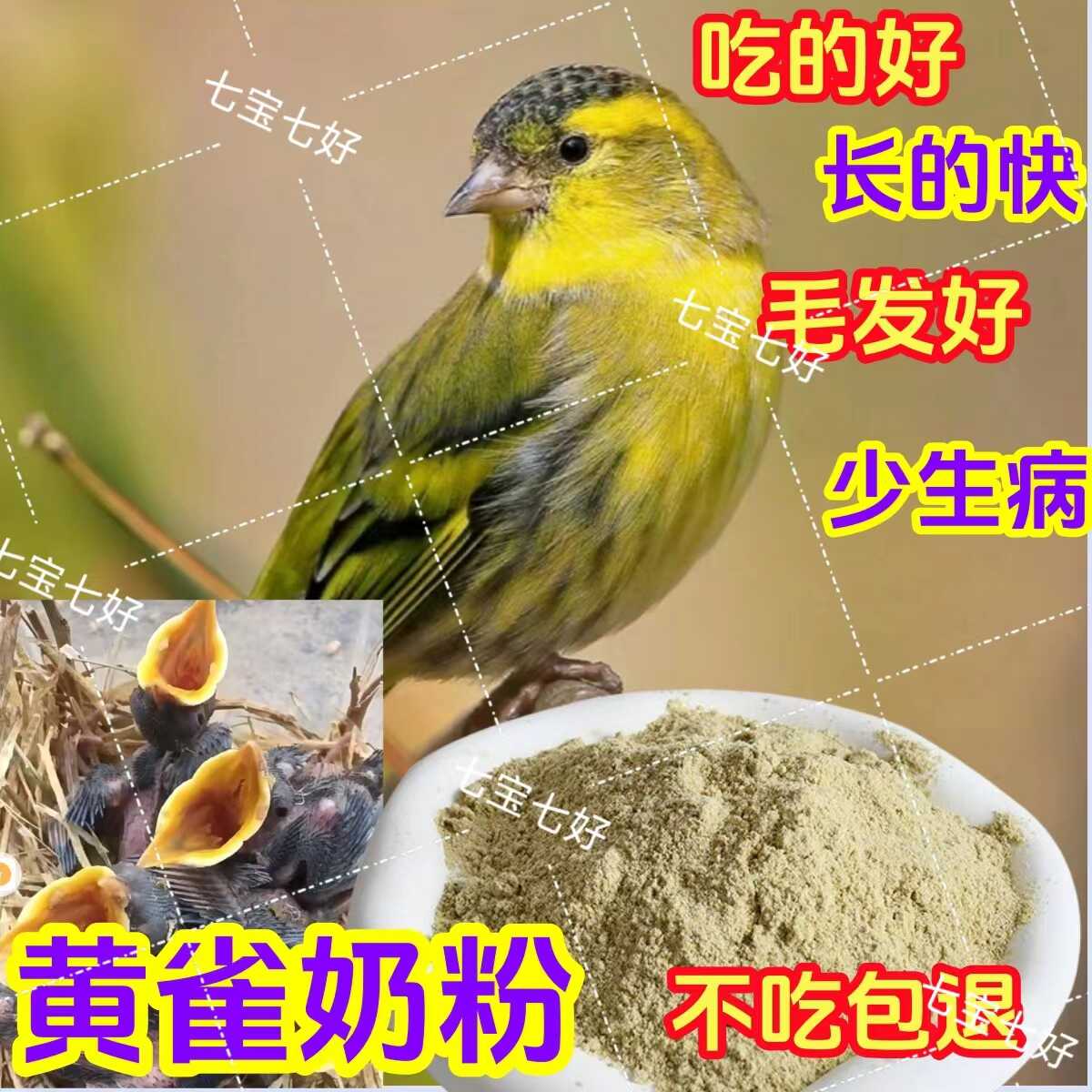 【黄雀奶粉】雏鸟手喂食幼鸟奶粉小鸟喂食玉鸟芙蓉金青雏鸟饲料