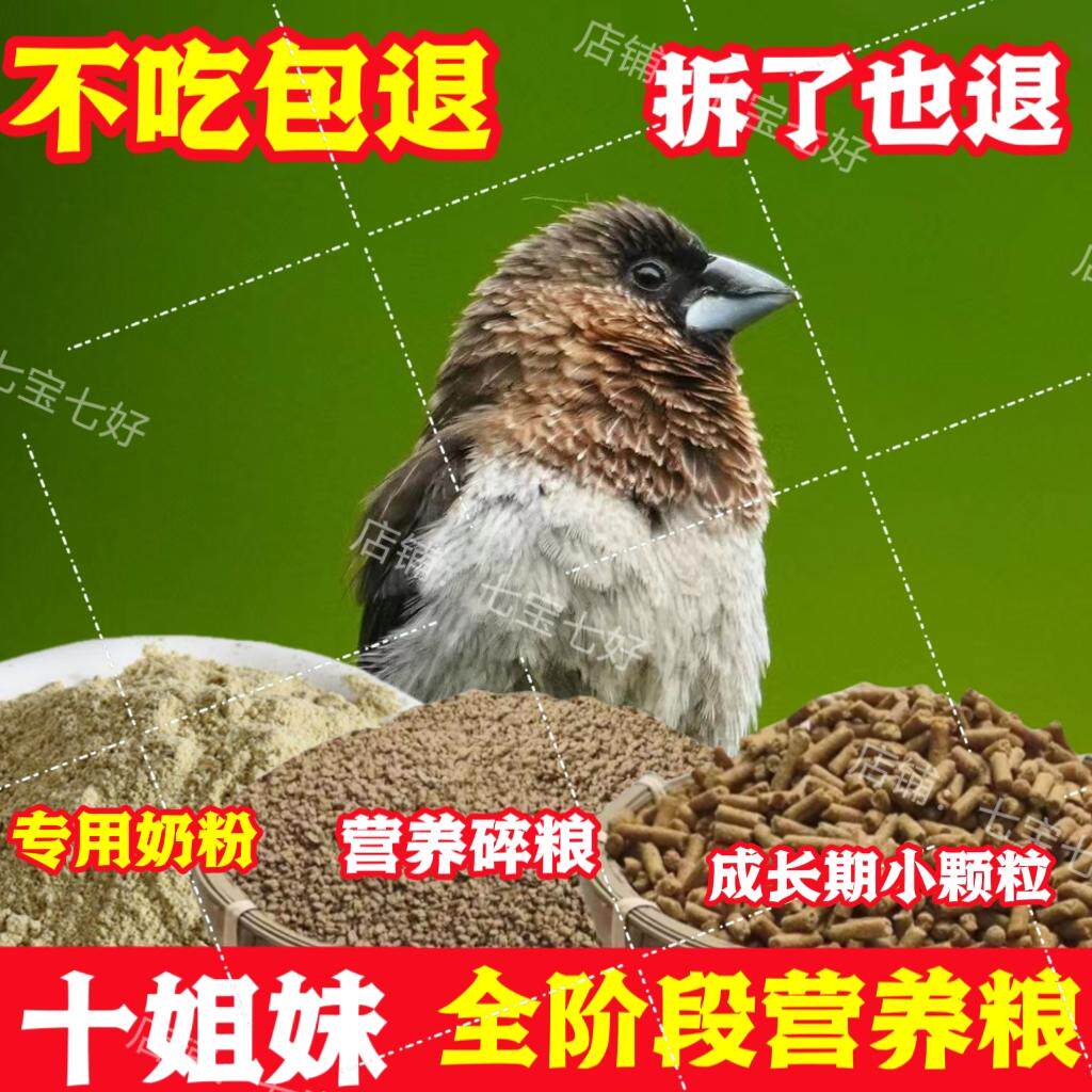 鸟食提性壮膘画眉换毛专用饲料