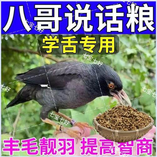 八哥营养粮】八哥专用鸟饲料鸟食海八黑八鹩哥鸟苗幼苗散装专用粮