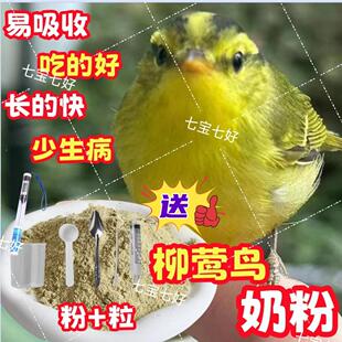 【柳莺奶粉】黄腰柳莺专用鸟食柳莺鸟活鸟食罐高档高钙奶粉高蛋白