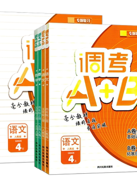2026成都小学四五六年级调考a+b