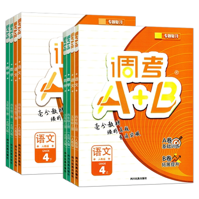 2025成都小学四五六年级调考a+b