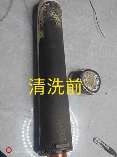 霉菌清除清洗漂白牙刷发黄