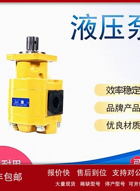 HCHC长源液压齿轮油泵 CBGTC 铸铁齿轮泵 合肥长源液压齿轮油泵议