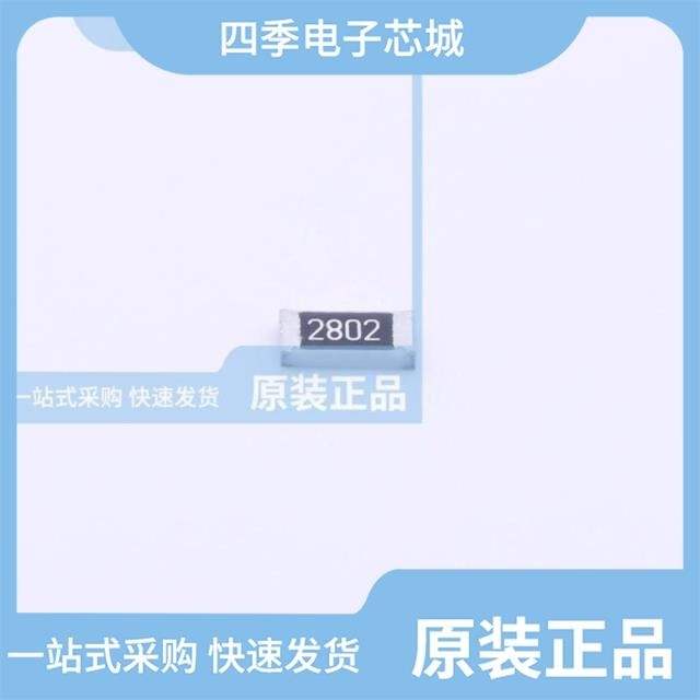 RS-06K2871FT RS-06L1654FT RS-06L1R6FT