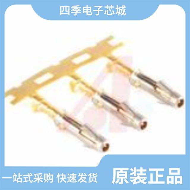 SS28W2F SS24W2F SSH-G01-002-CP-R