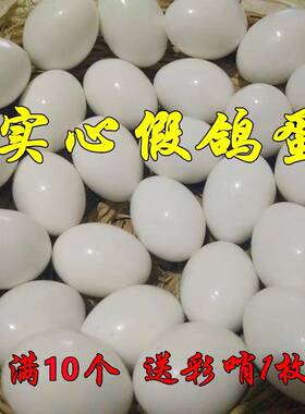 鸽子引产蛋实心假蛋用品孵卵注水