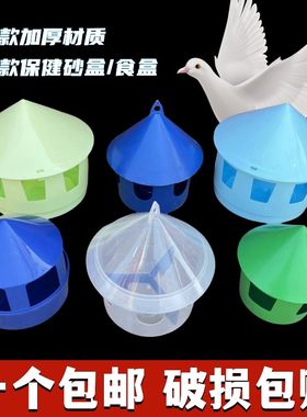 鸽子喂食器保健砂盒保健砂多功能