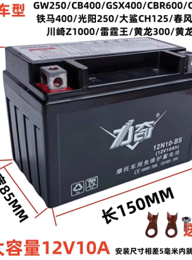 适用黄龙600/300摩托车干电瓶光阳250贝纳利GW250/GSX400铁马电池