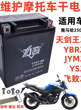 雅马哈250飞致250天剑王250电池